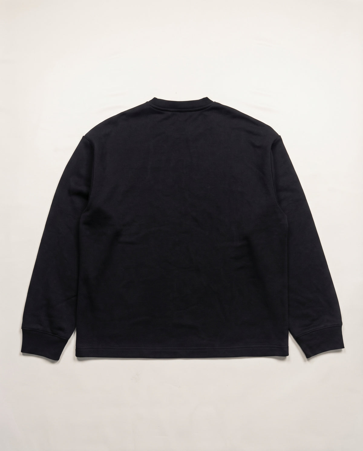 Hajde Zemer Peshkaqen Longsleeve in black — back, plain heavyweight cotton-blend longsleeve, flat lay