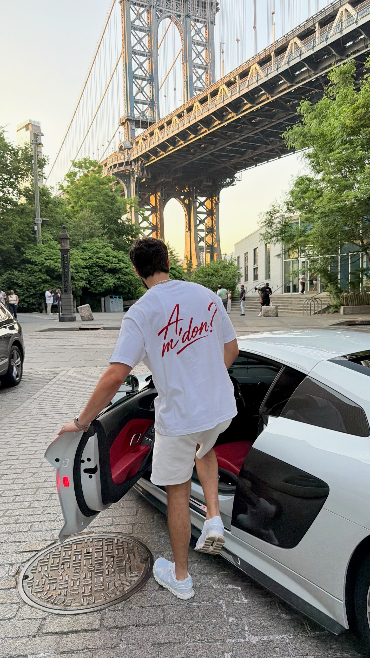 Albanian Graphic Tee — A'mdon? Tee — close-up | Hajde Zemer