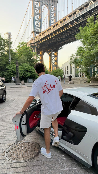 Albanian Graphic Tee — A'mdon? Tee — close-up | Hajde Zemer