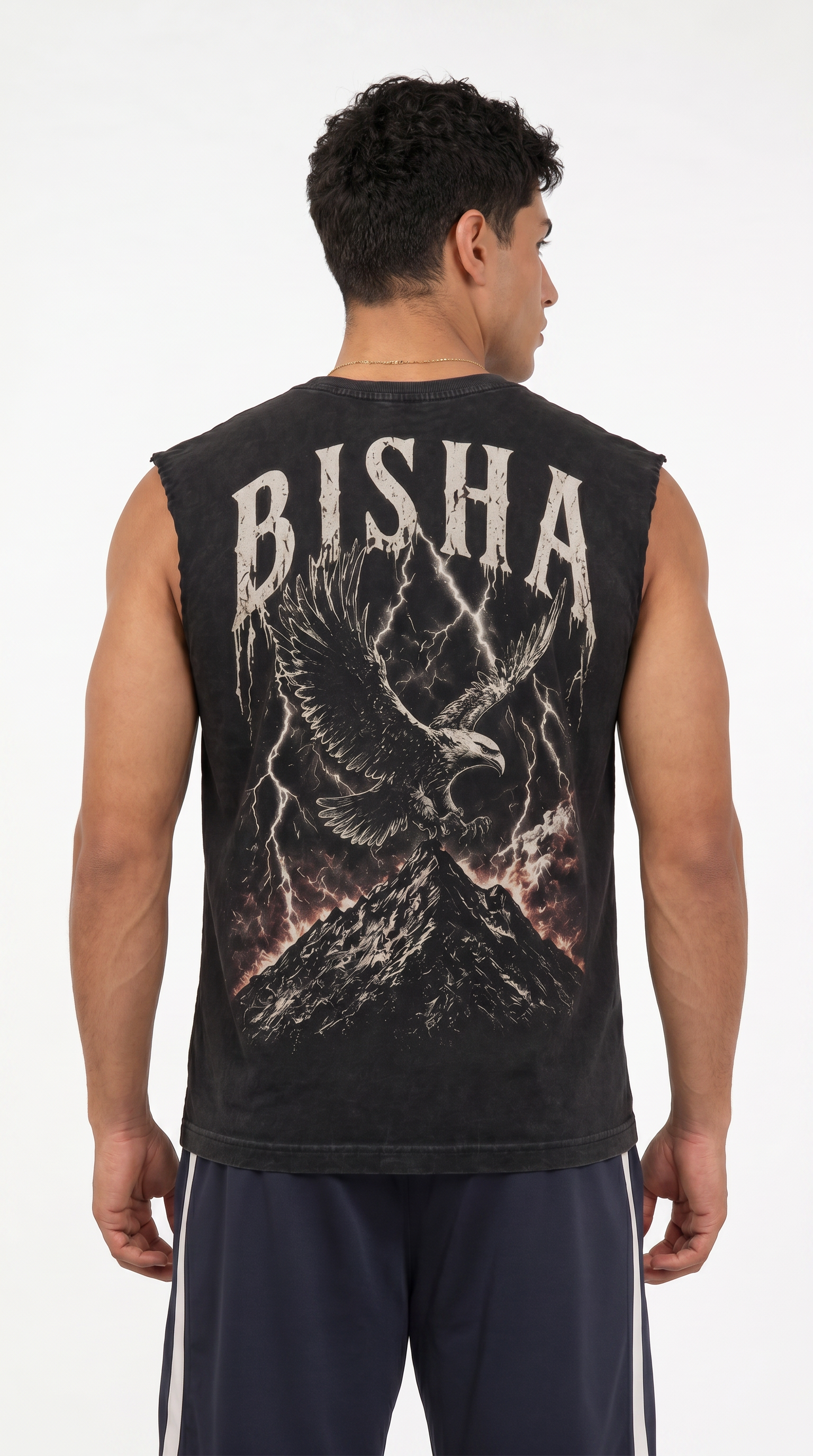 Albanian Eagle Bisha Eagle Tank — close-up | Hajde Zemer