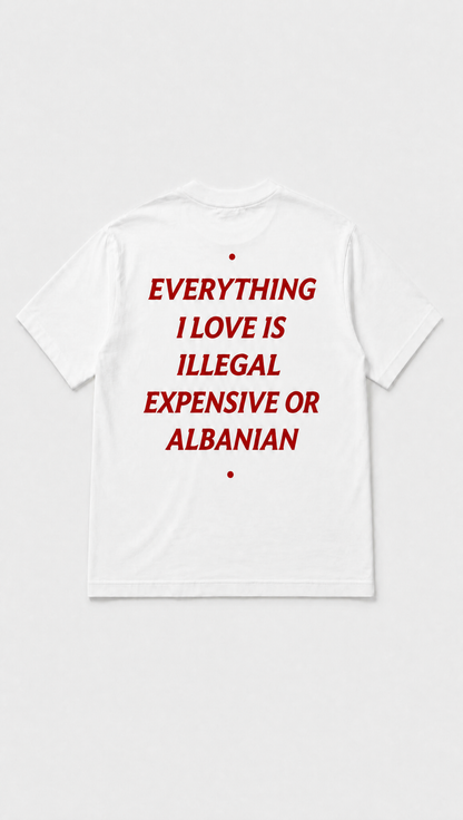 Albanian Graphic Tee — Expensive or Albanian Tee — close-up | Hajde Zemer