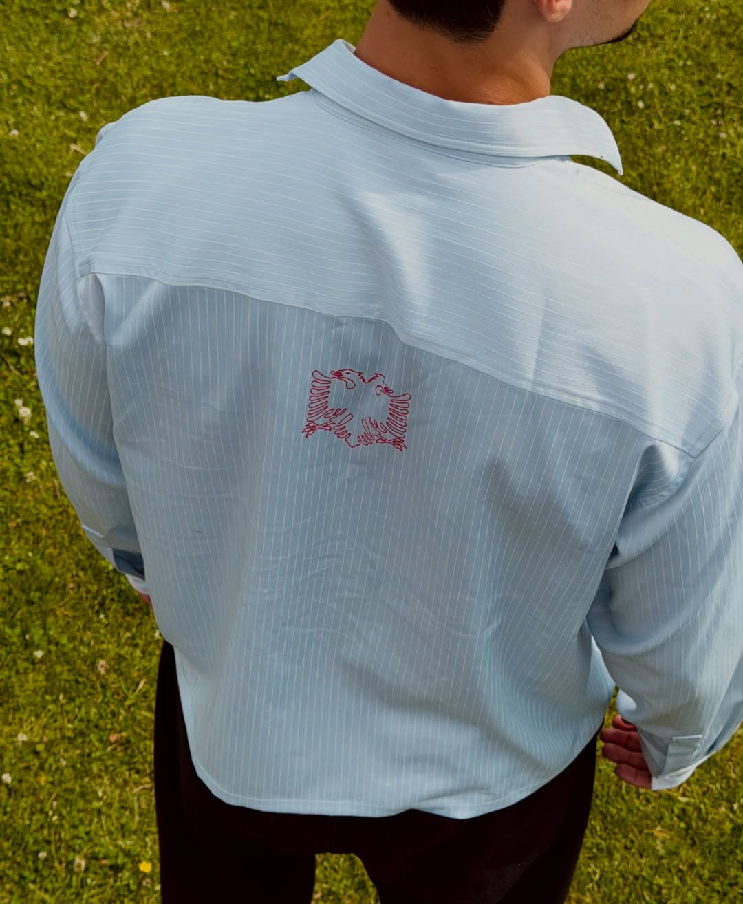 Albanian Eagle Crop Button-Down — close-up | Hajde Zemer