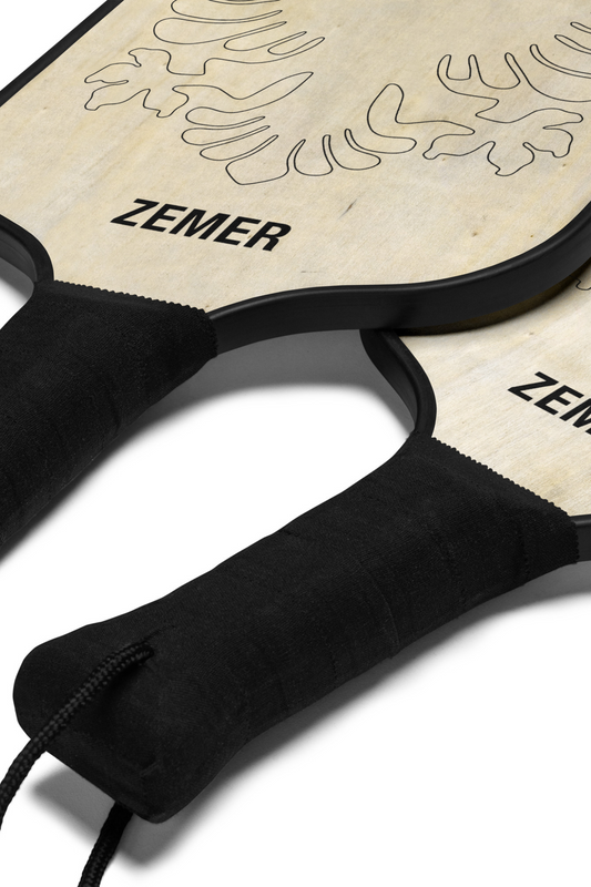 Pickleball paddle set