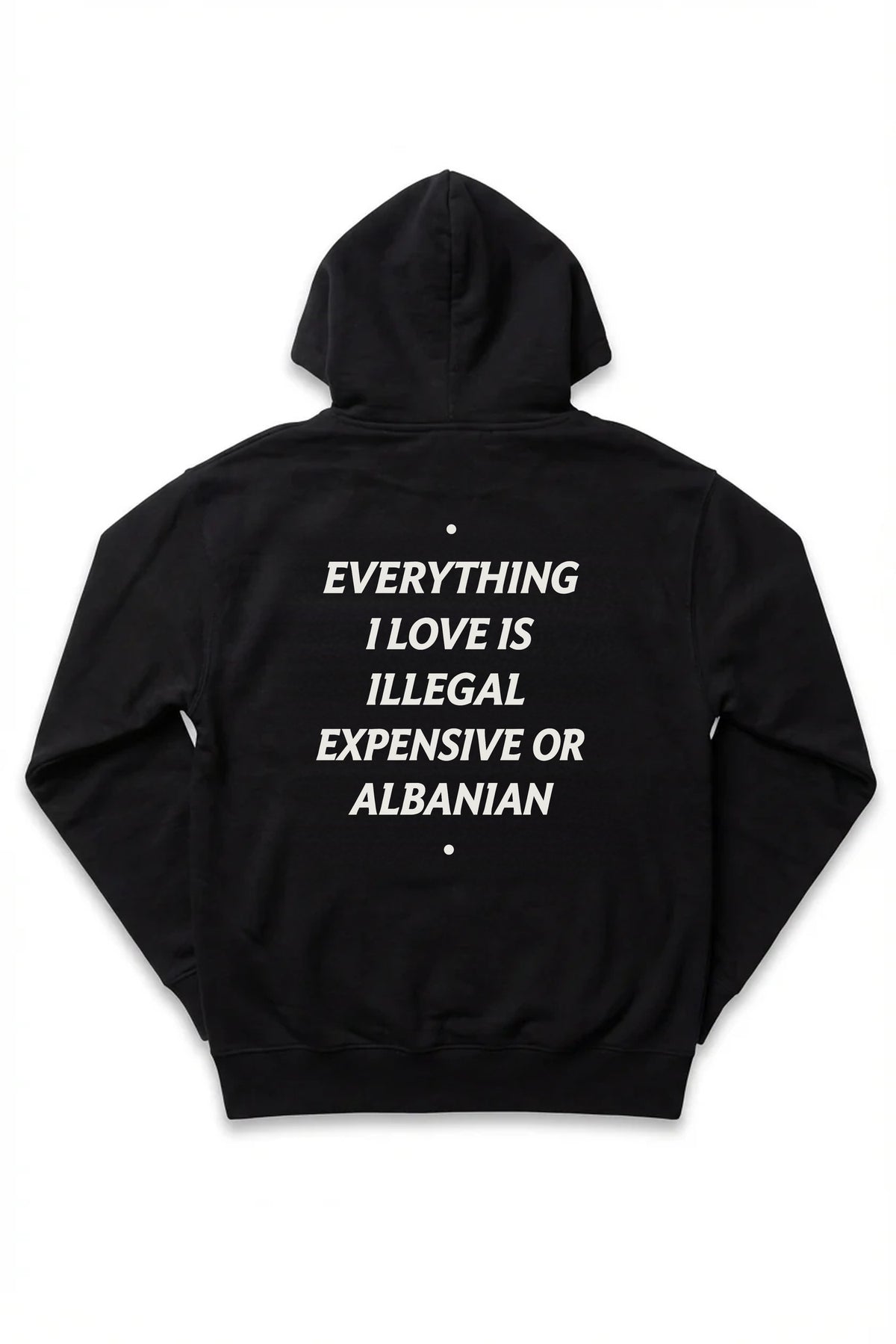 Expensive or Albanian Hoodie in black, back view, full statement print