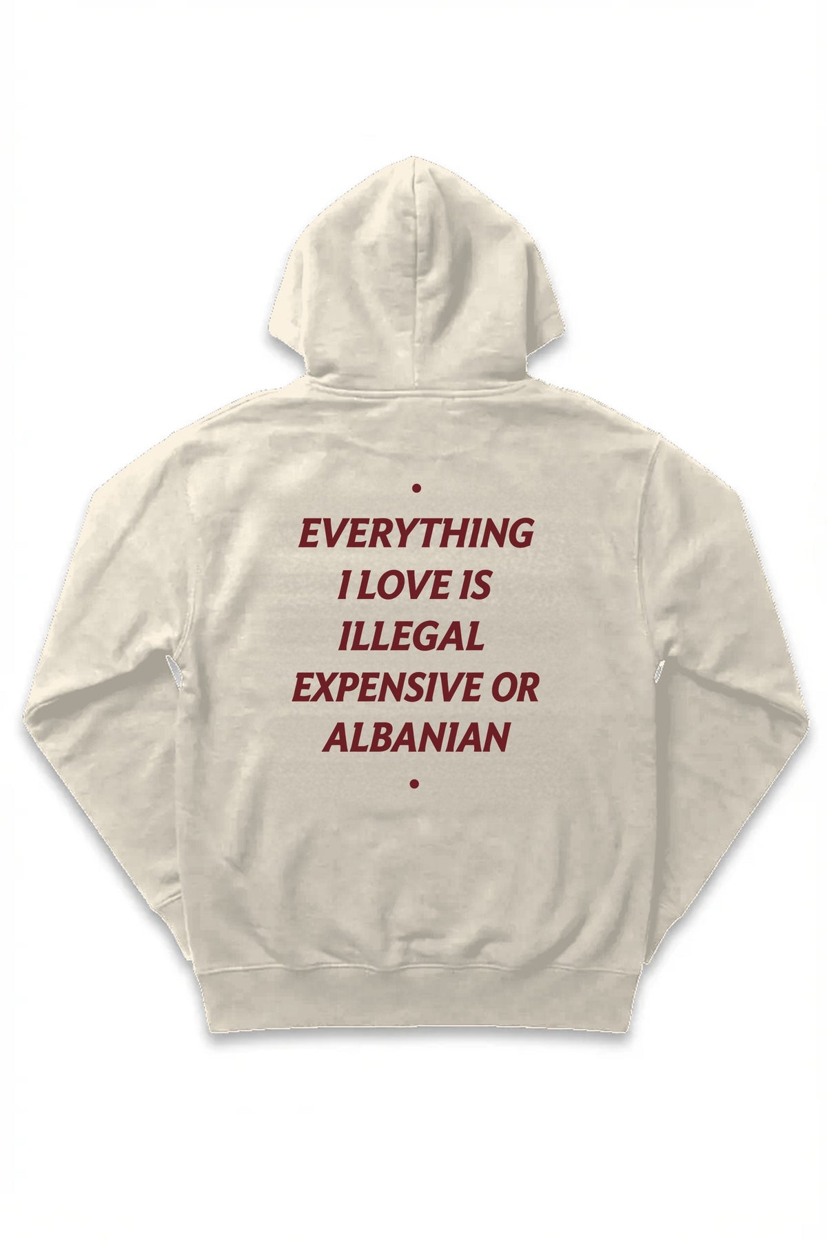 Expensive or Albanian Hoodie in cream, back view, full statement print