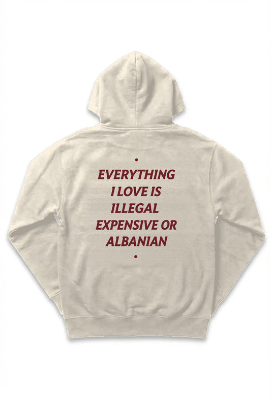 Expensive or Albanian Hoodie in cream, back view, full statement print