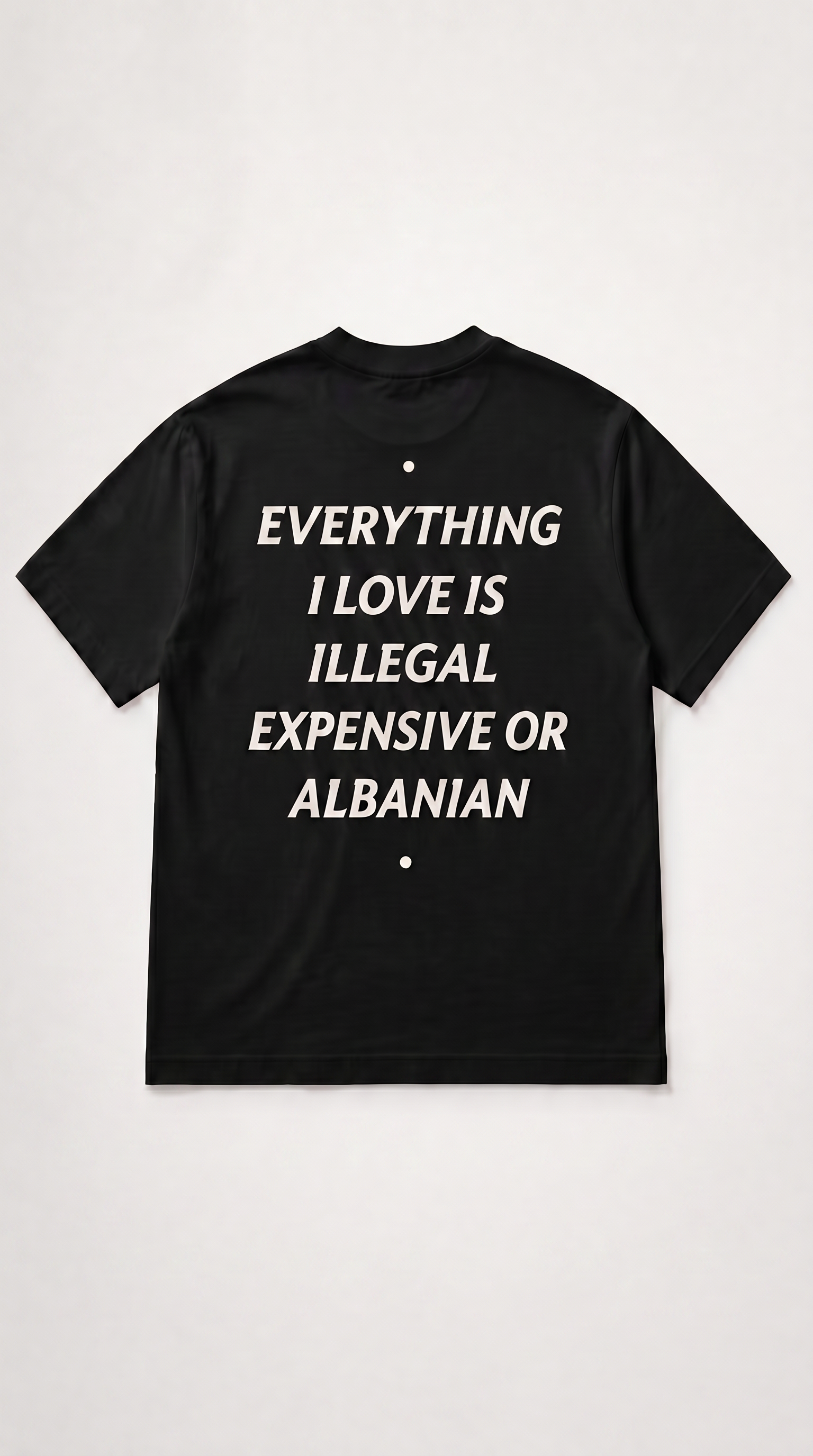 Albanian Graphic Tee — Expensive or Albanian Tee — close-up | Hajde Zemer
