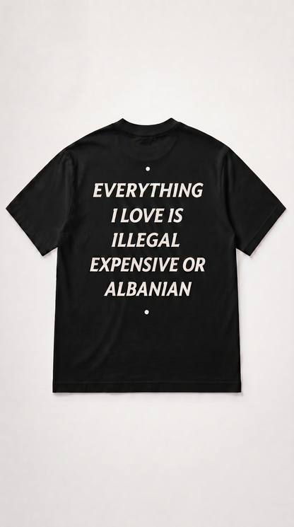 Albanian Graphic Tee — Expensive or Albanian Tee — close-up | Hajde Zemer