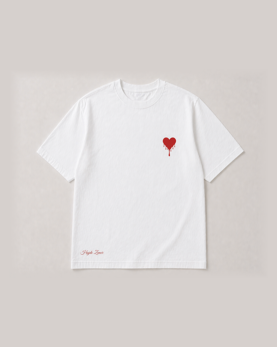 Albanian Graphic Tee — MZT Tee — Mbroje Zemren Tende — detail view | Hajde Zemer